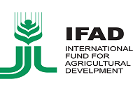 Ifad